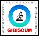 GIBISCUM_logo