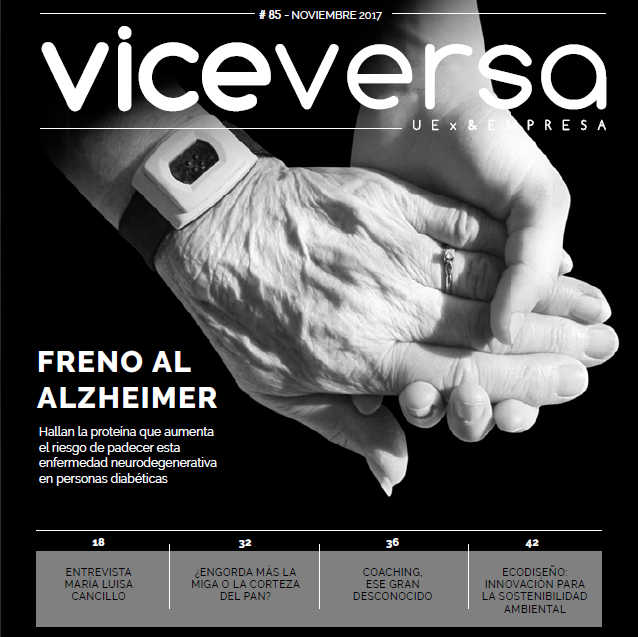 Revista Viceversa