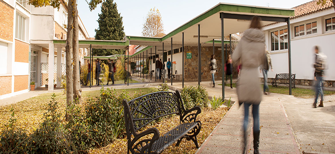 Facultad De Empresa, Finanzas Y Turismo