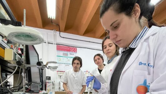 Una celda electroquímica basada en minas de lápiz detecta fármacos antidepresivos en aguas residu...
