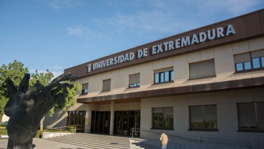 Comunicado sobre la suspensión de las actividades docentes
