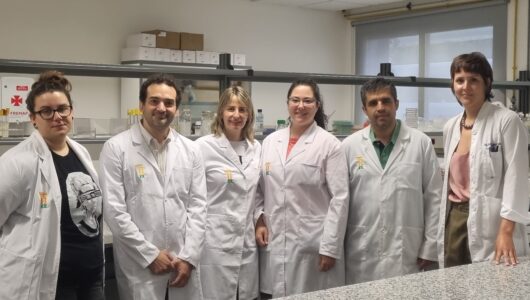 Las diferentes prácticas en la fabricación de los quesos DOP configura su microbiota