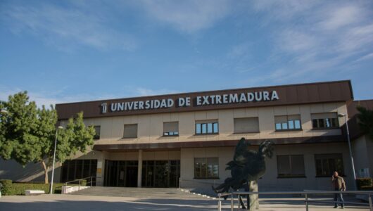 La UEx aprueba dos nuevas titulaciones de máster
