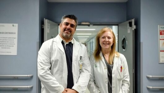 Identifican una proteína clave para prevenir el ictus